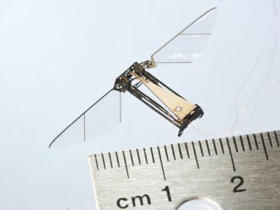 Robobee2