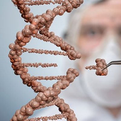 dna-gene-editing-crispr-735-350-1