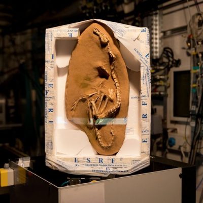 merlin_130954574_9e6cfadd-8ce4-4ce8-8c09-27c47ca9e41a-master768