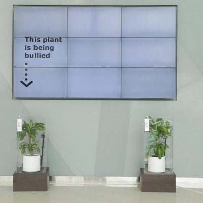 temp_IKEA_Bullyaplant