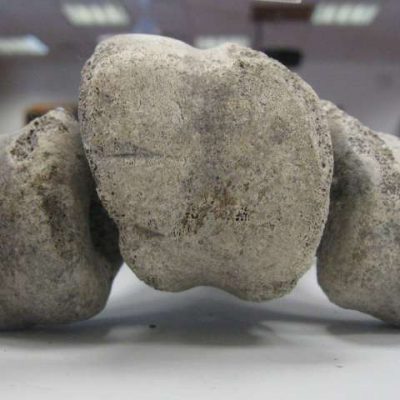 Los humanos llegaron a Madagascar 6,000 años antes de lo que se creía