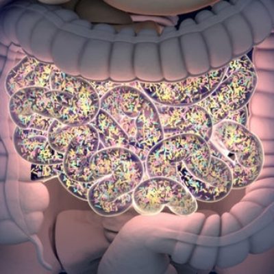 Cómo nuestro microbioma dicta nuestra salud