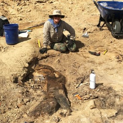 Científicos británicos se están uniendo a “Mission Jurassic” en Wyoming caza de dinosaurios