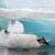 Equipo europeo está listo para perforar el hielo más antiguo de la Tierra en la Antártida